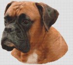 Boxer - Sally (image for) Boxer - Sally
